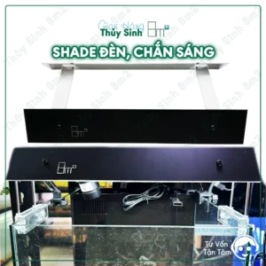 chắn sáng đèn 8m2
