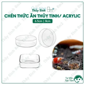 chén tép, chén cho tép cảnh ăn