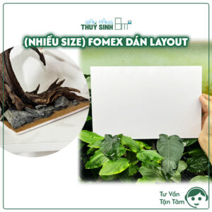fomex dán layout hồ thuỷ sinh
