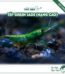 tép green jade tuyển, tép ngọc bích, tép màu thuỷ sinh