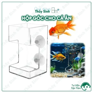 hộp góc cho cá ăn. dụng cụ cho cá ăn