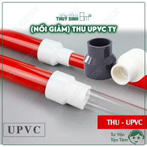 thu upvc ty phi 20, 25, 32. Nối giảm ống upvc