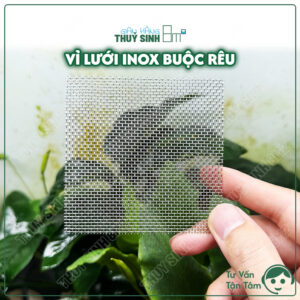 Vỉ inox buộc rêu 8 x 8cm. Inox 304 không rỉ