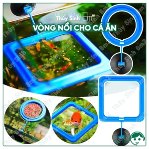 vòng nổi giữ thức ăn khi cho cá ăn