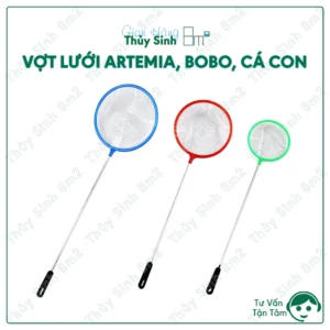 Vợt Artemia
