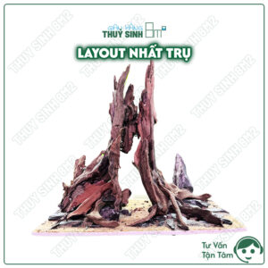 layout nhất trụ. layout thuỷ sinh